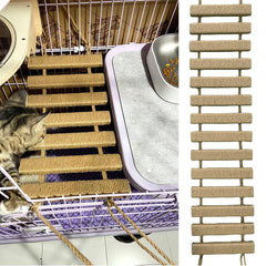 Cat Climbing Ladder