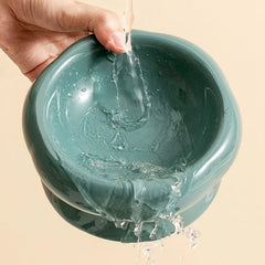 ElevatePet Bowl