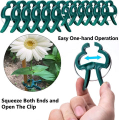 Plant Support Clips – Keep Your Plants Upright & Healthy