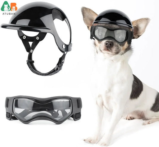 Dog Helmet