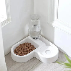 AquaPaw Bowl