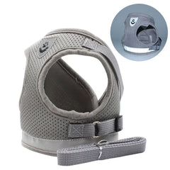 Cat Harness Lead