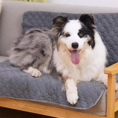PawDry Mat
