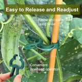 Suport for Plant Fixed