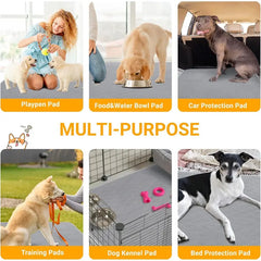 PawDry Mat