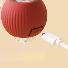 Cat Interactive Ball Toy