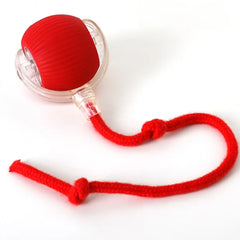 Cat Interactive Ball Toy