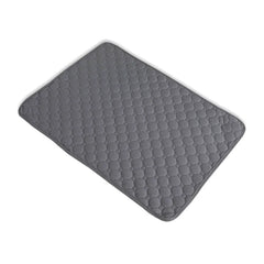PawDry Mat