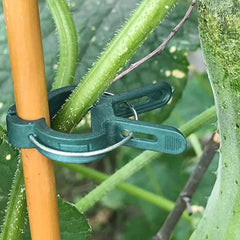 Plant Support Clips – Keep Your Plants Upright & Healthy