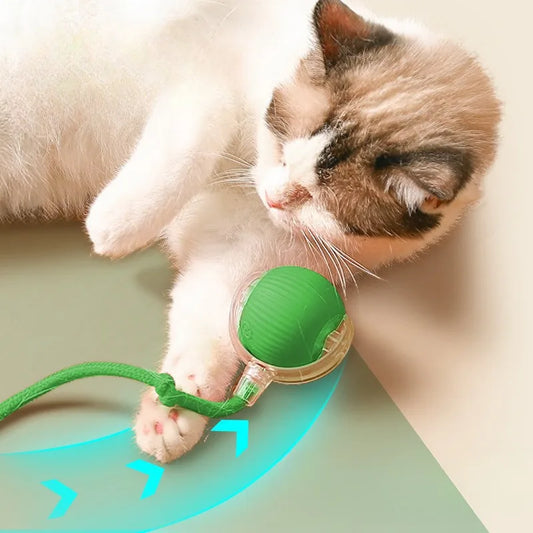 Cat Interactive Ball Toy