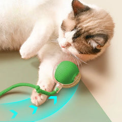 Cat Interactive Ball Toy