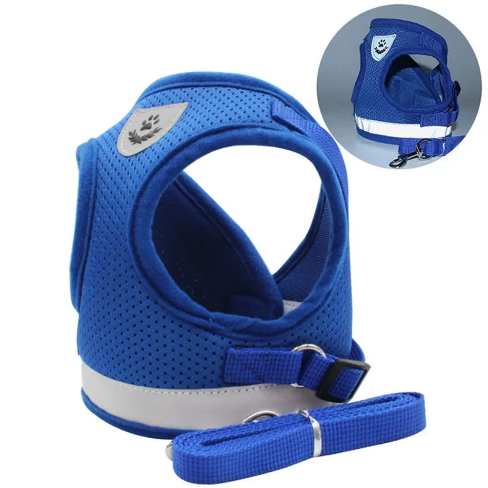 Cat Harness Lead