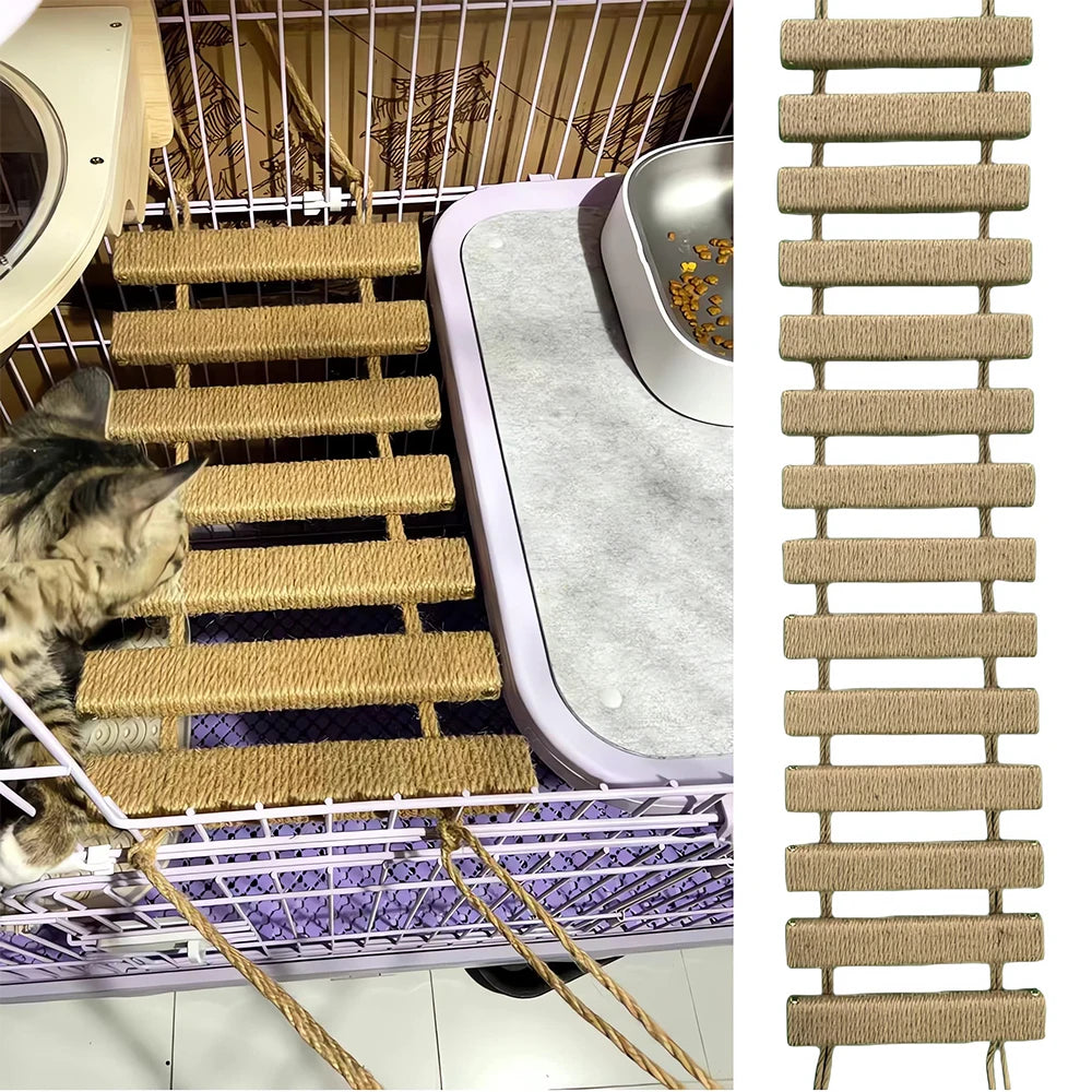 Cat Climbing Ladder
