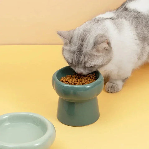 ElevatePet Bowl