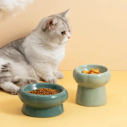ElevatePet Bowl