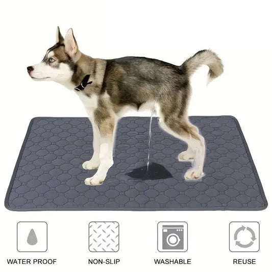 PawDry Mat