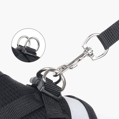 Cat Harness Lead