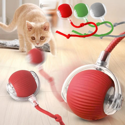 Cat Interactive Ball Toy