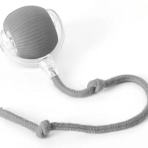 Cat Interactive Ball Toy