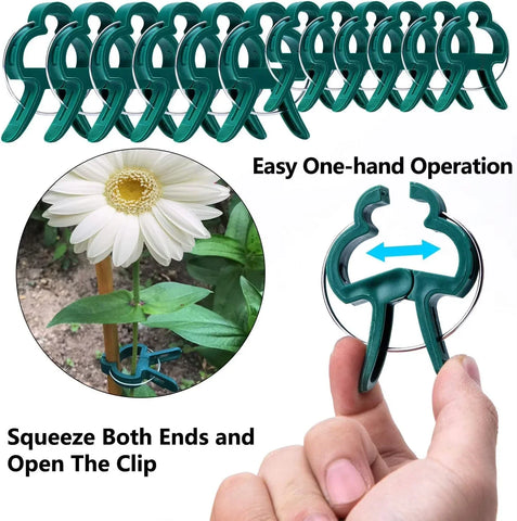 Plant Support Clips – Keep Your Plants Upright & Healthy