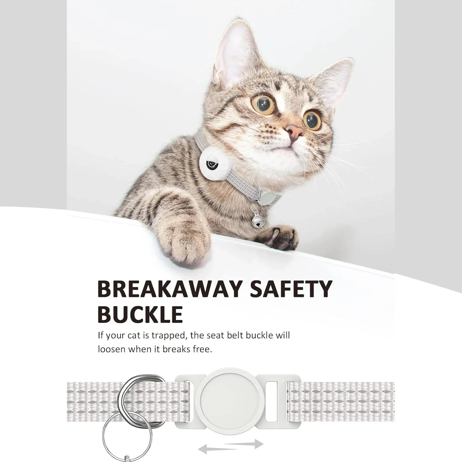 Air Tag Collar Cat