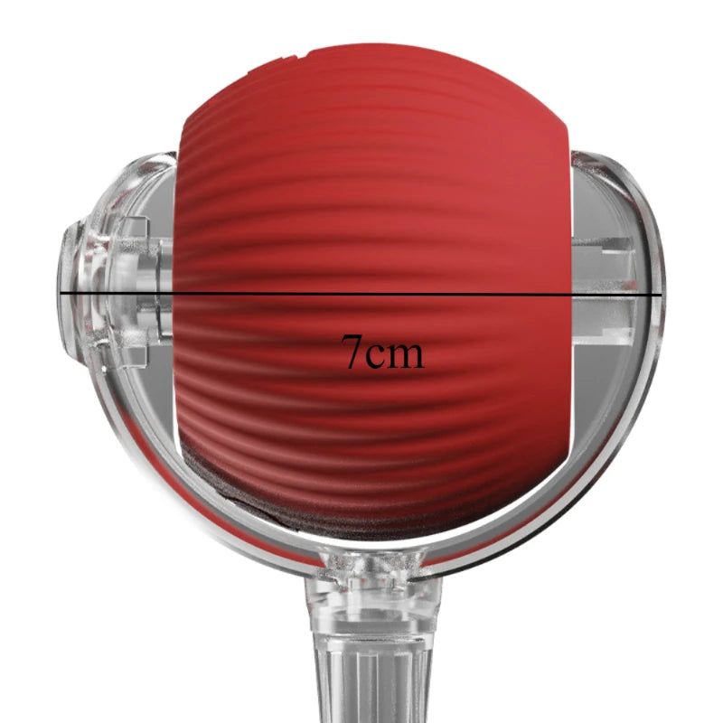 Cat Interactive Ball Toy