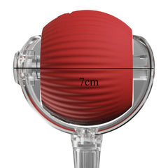 Cat Interactive Ball Toy