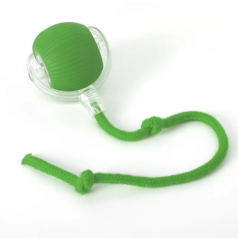 Cat Interactive Ball Toy
