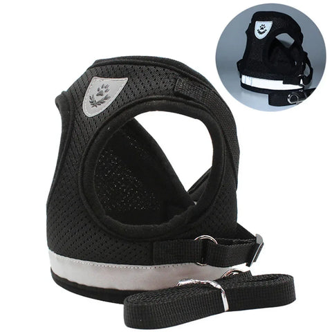 Cat Harness Lead