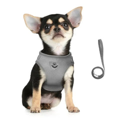 Cat Harness Lead