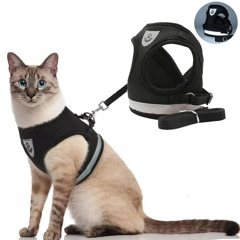 Cat Harness Lead