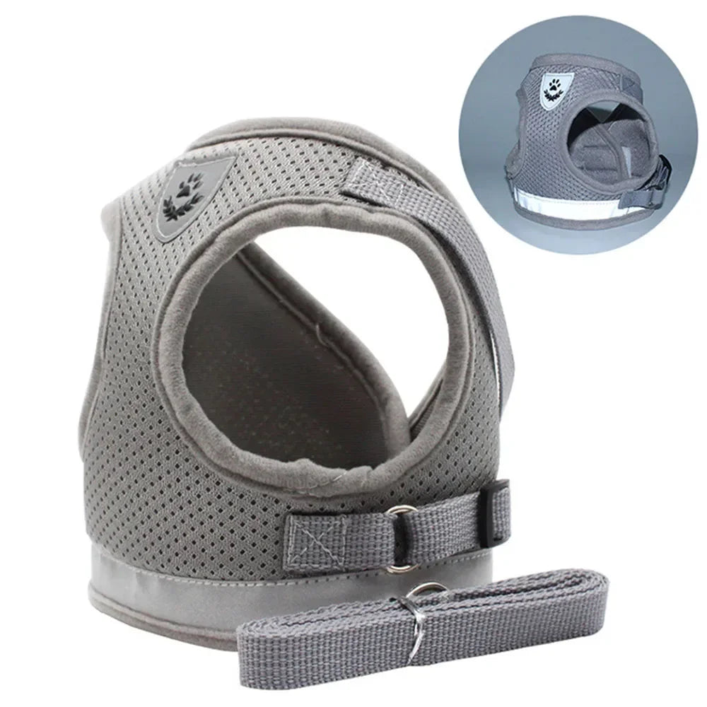 Cat Harness Lead
