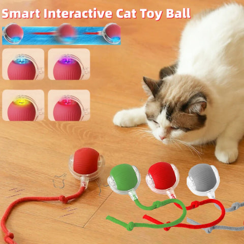 Cat Interactive Ball Toy