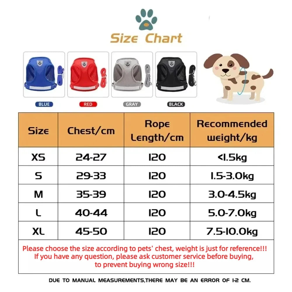 Cat Harness Lead