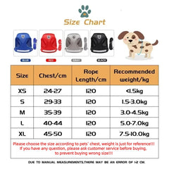 Cat Harness Lead