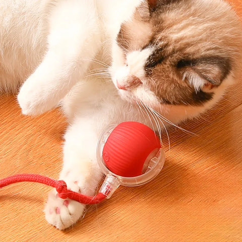 Cat Interactive Ball Toy