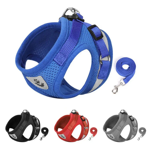 Cat Harness Lead