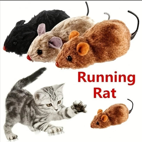 Running Rat
