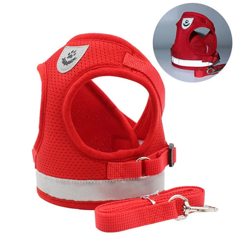 Cat Harness Lead