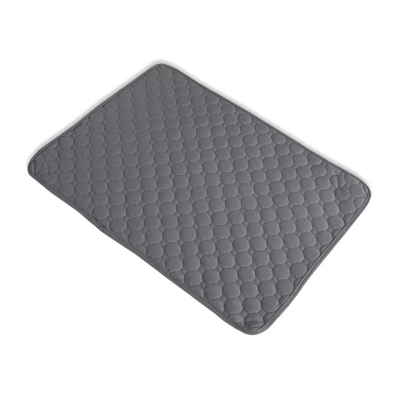 PawDry Mat