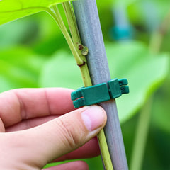 Plant Support Clips – Keep Your Plants Upright & Healthy