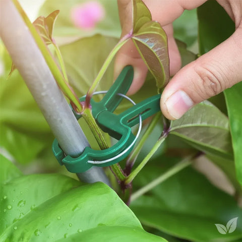 Plant Support Clips – Keep Your Plants Upright & Healthy