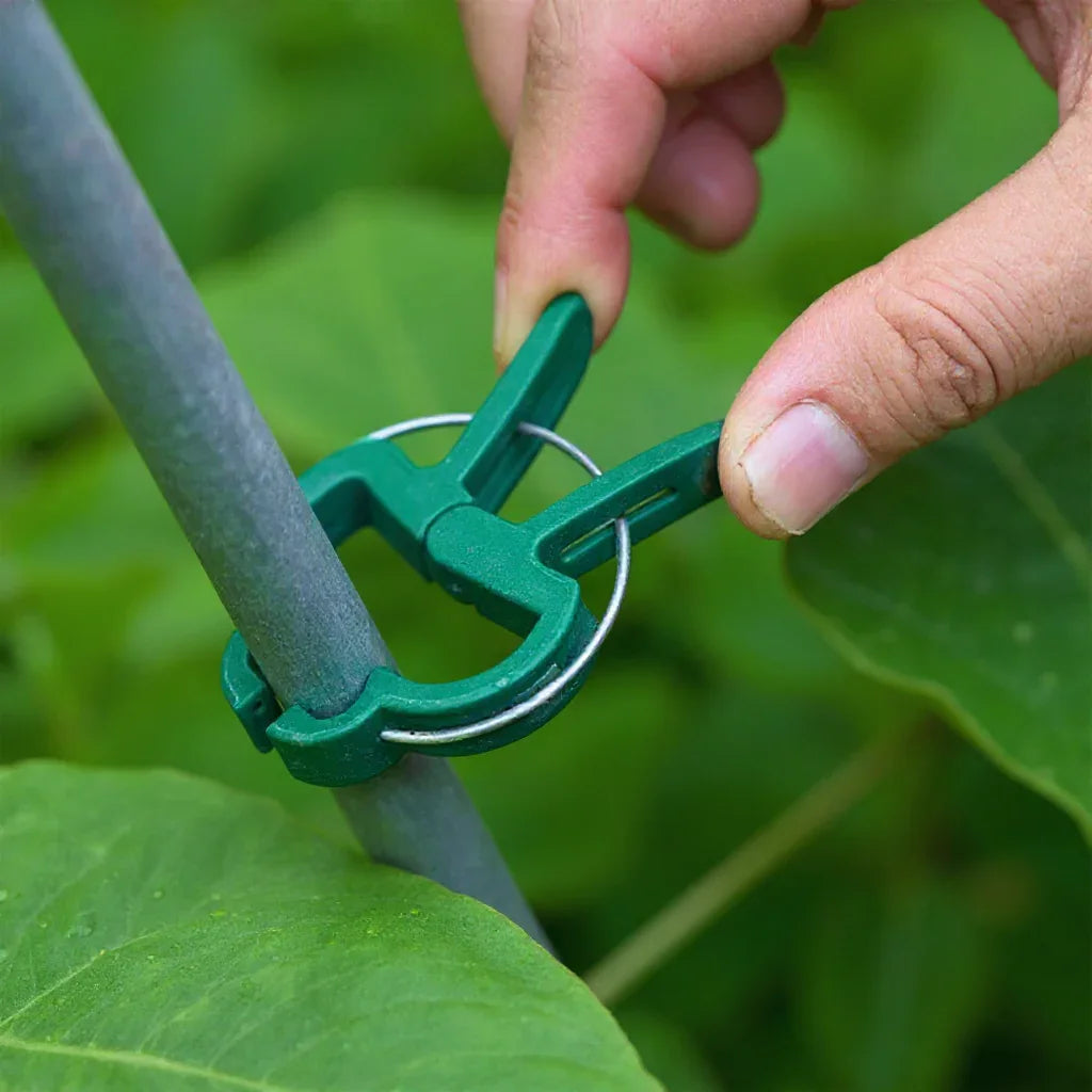 Plant Support Clips – Keep Your Plants Upright & Healthy